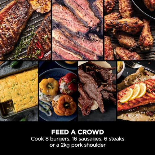 ninja woodfire electric bbq grill & smoker, 7 in 1 outdoor grill & air fryer, roast, bake, dehydrate ninja woodfire electric bbq grill & smoker, 7 in 1 outdoor grill & air fryer, roast, bake, dehydrate